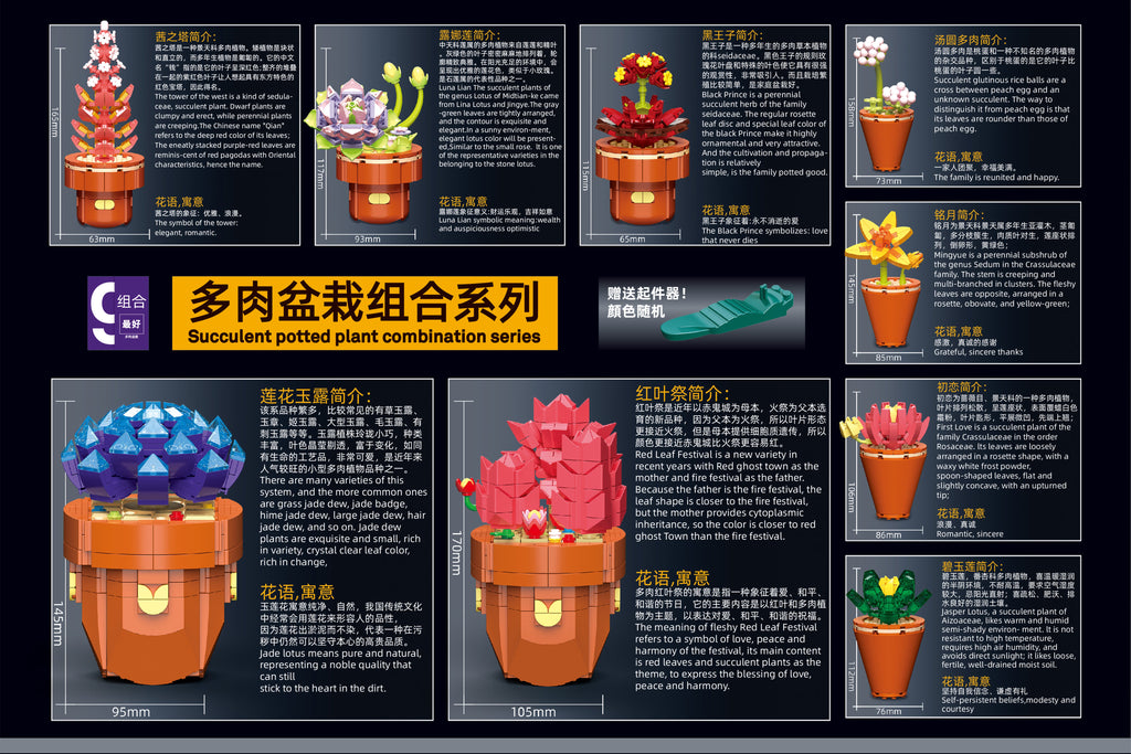 Succulents Building Brick Potted Plant Kit by Wizardi F07N11-12-3(118)