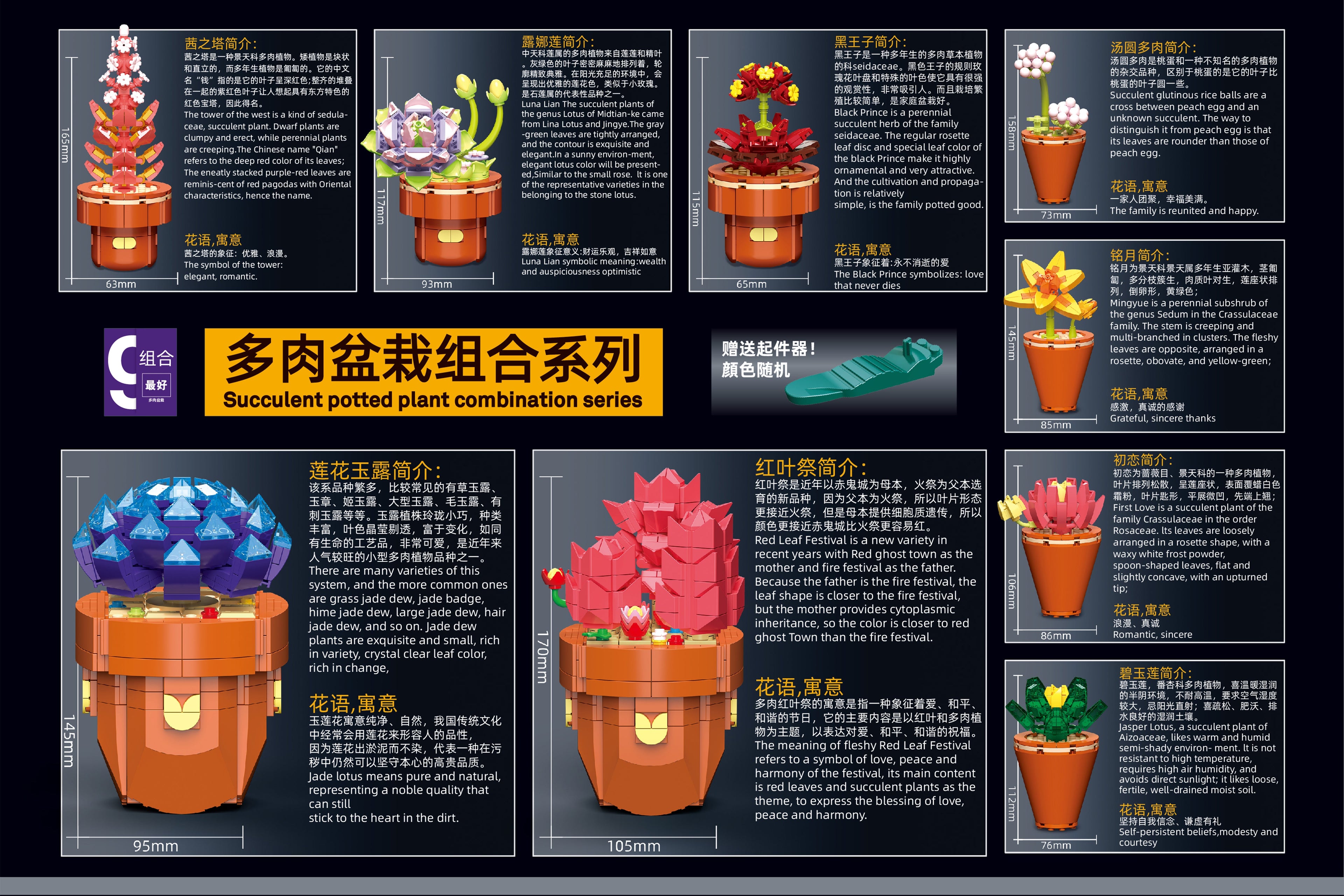 Succulents Building Brick Potted Plant Kit by Wizardi F07N11-12-3(118)